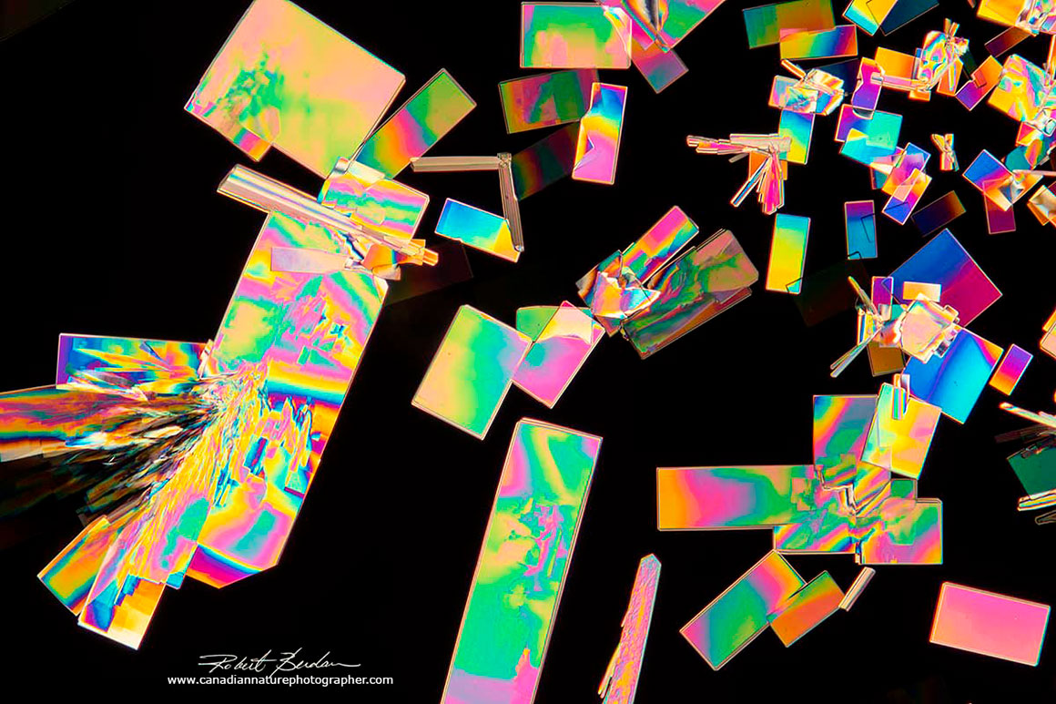 Crystals from a high energy drink viewed by Polarized light microscopy  by Robert Bedan ©